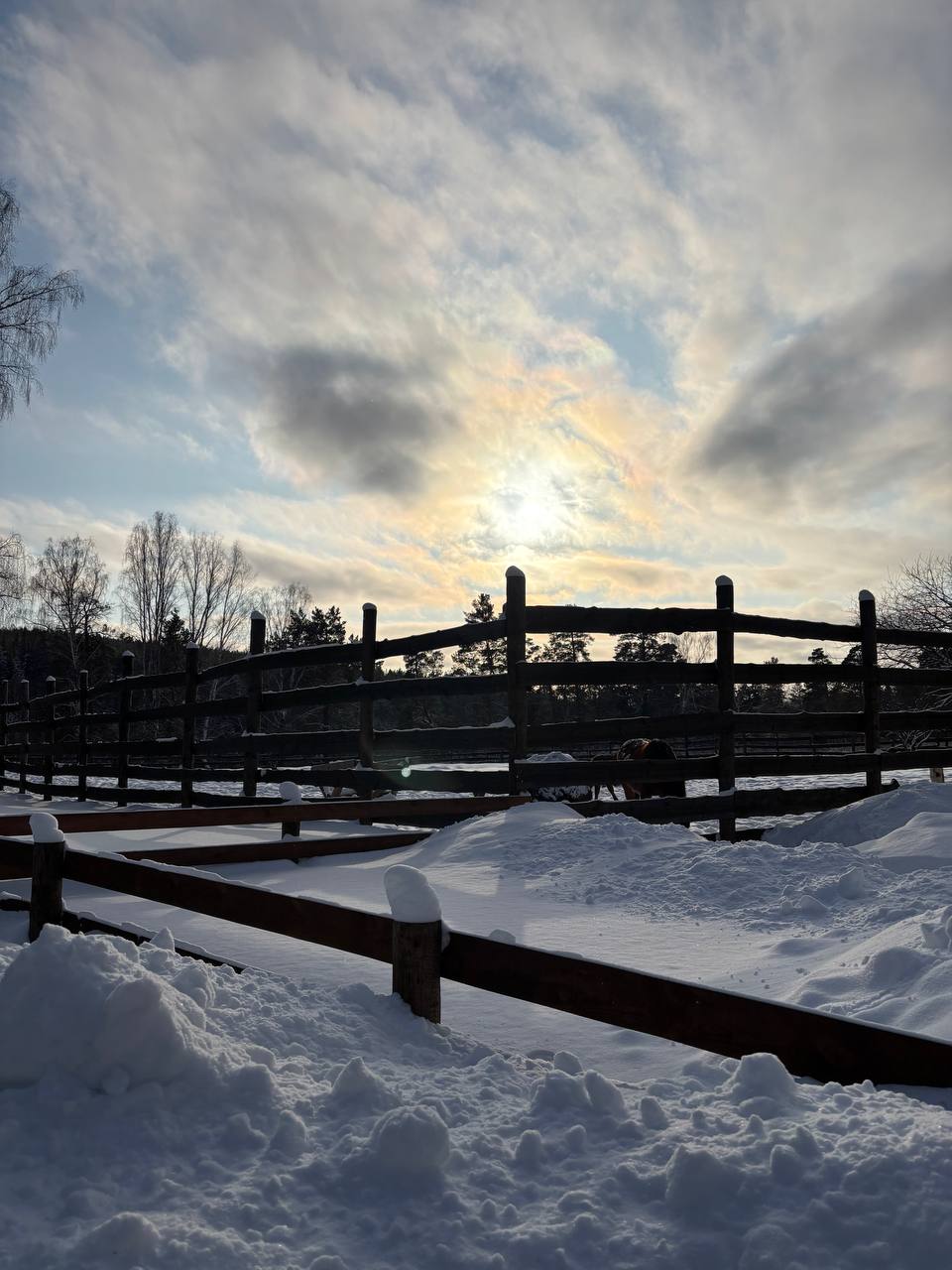 Парковка 1